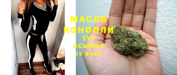 метадон Богданович