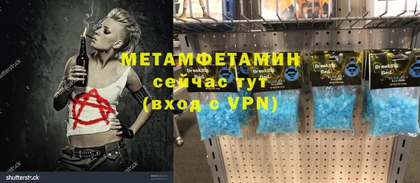 метадон Богданович