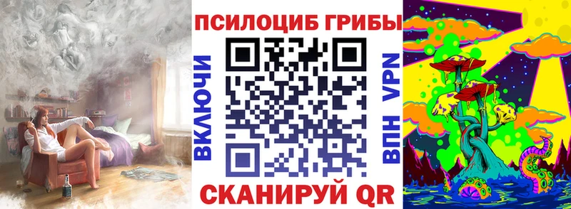 OMG ССЫЛКА  Кувандык  Псилоцибиновые грибы ЛСД  сайты даркнета наркотические препараты  купить наркотик 