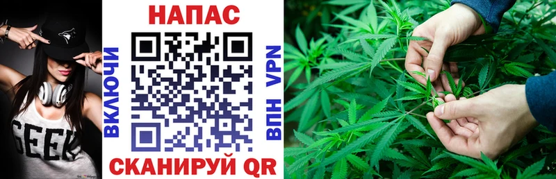 Конопля сатива как найти Кувандык